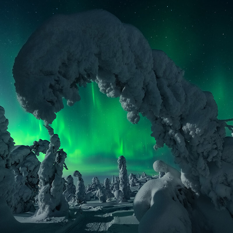 Northern Lights in Ruka