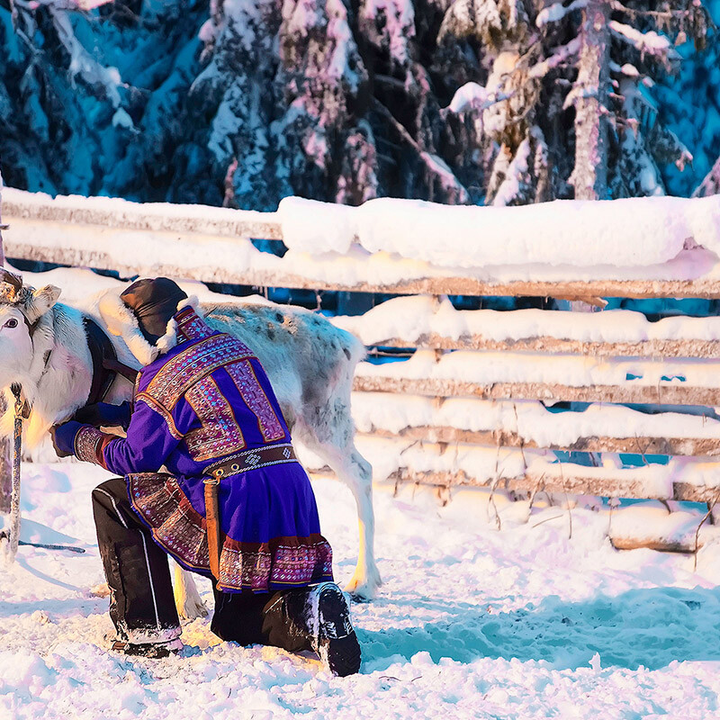 Reindeer Safari in Kuusamo and Ruka