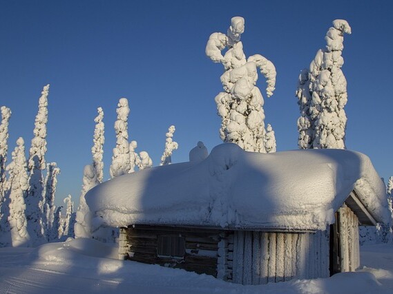 Ruka groups